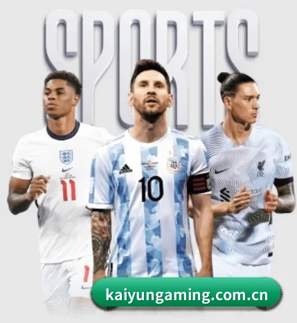 kaiyungaming.com.cn的方向